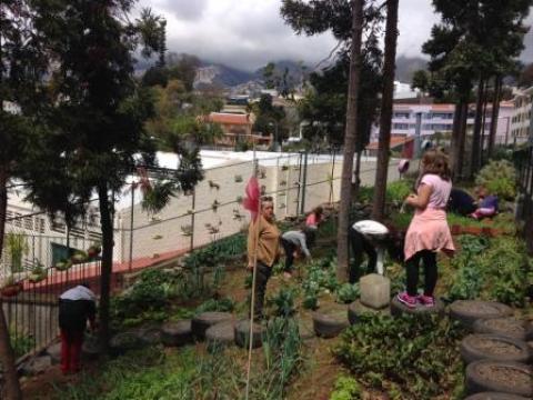 Voluntários mondando a bio-horta.